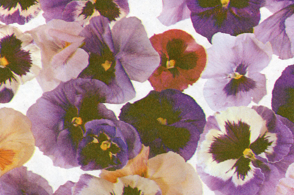 Blumenpapier Seidenpapier in 2026: Frühjahr