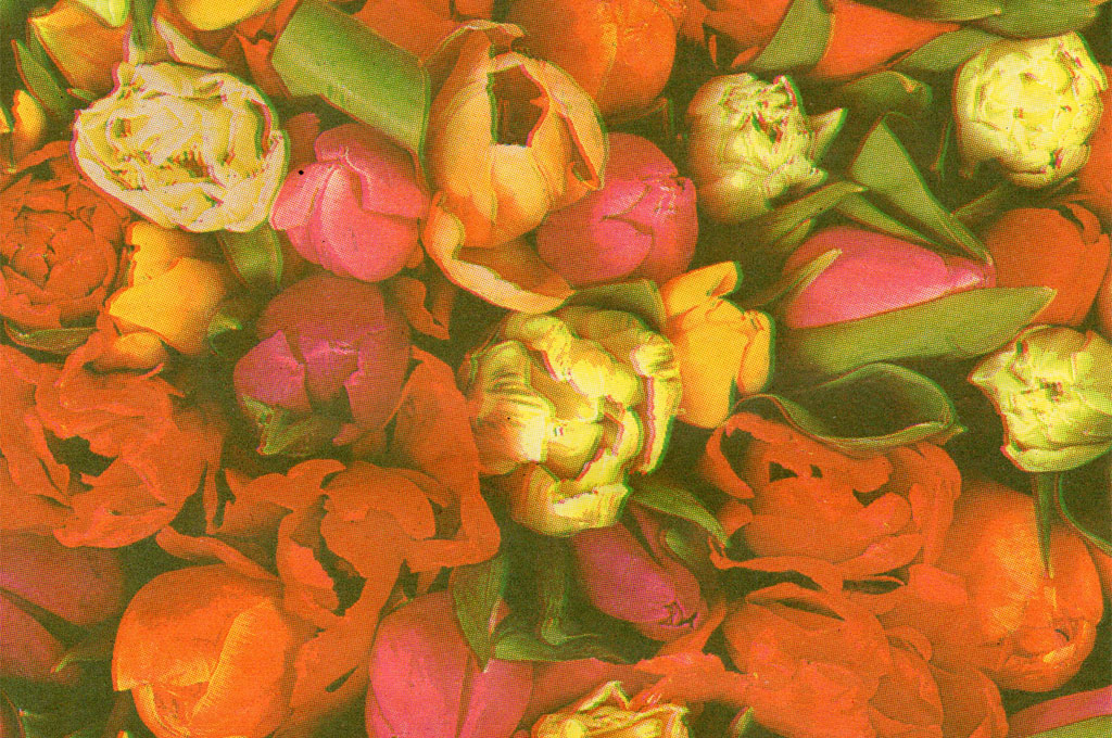 Blumenpapier Seidenpapier in 2026: Frühjahr