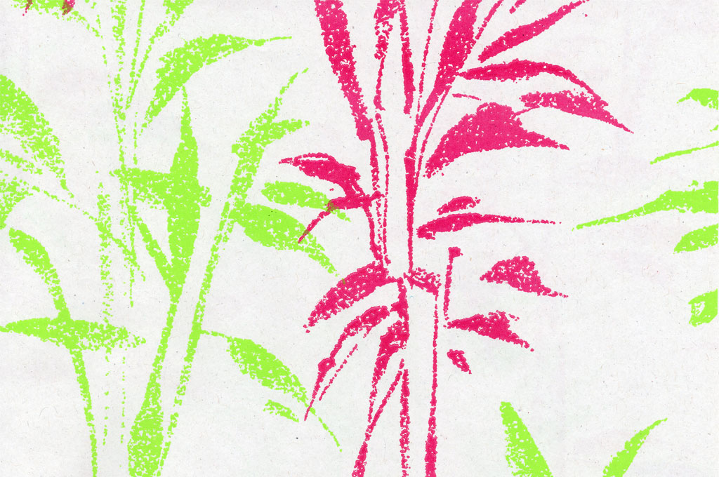 Blumenpapier Seidenpapier in 2025: Herbst und Weihnachten