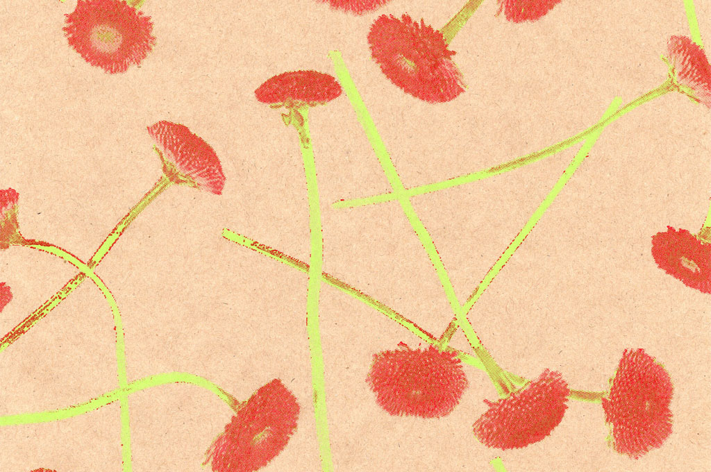 Blumenpapier Seidenpapier in 2026: Fr&uuml;hjahr