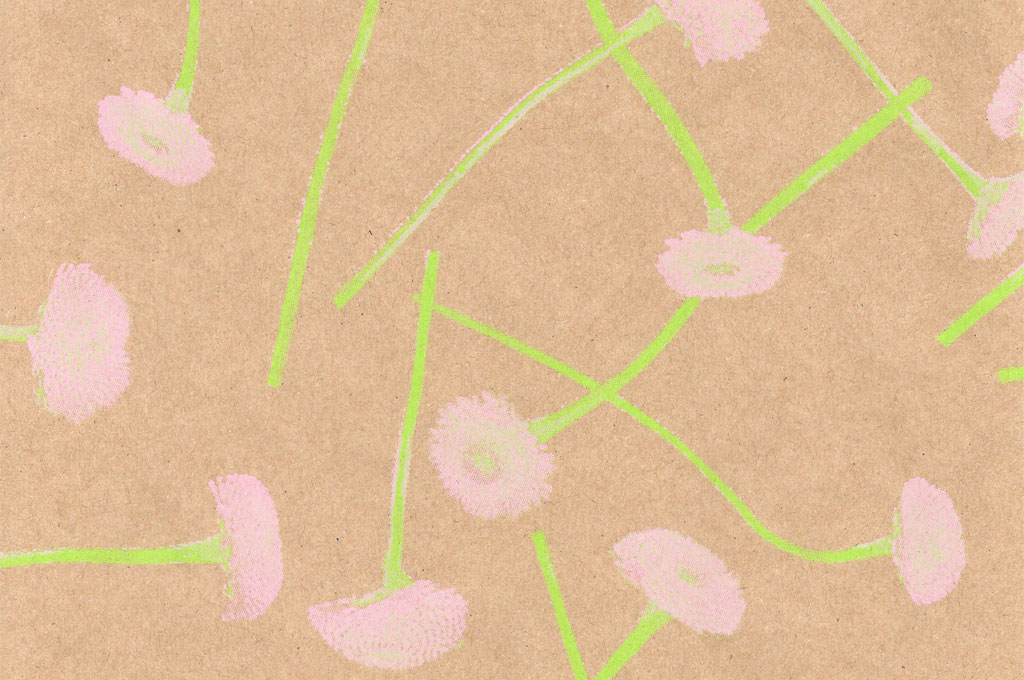 Blumenpapier Seidenpapier in 2026: Fr&uuml;hjahr