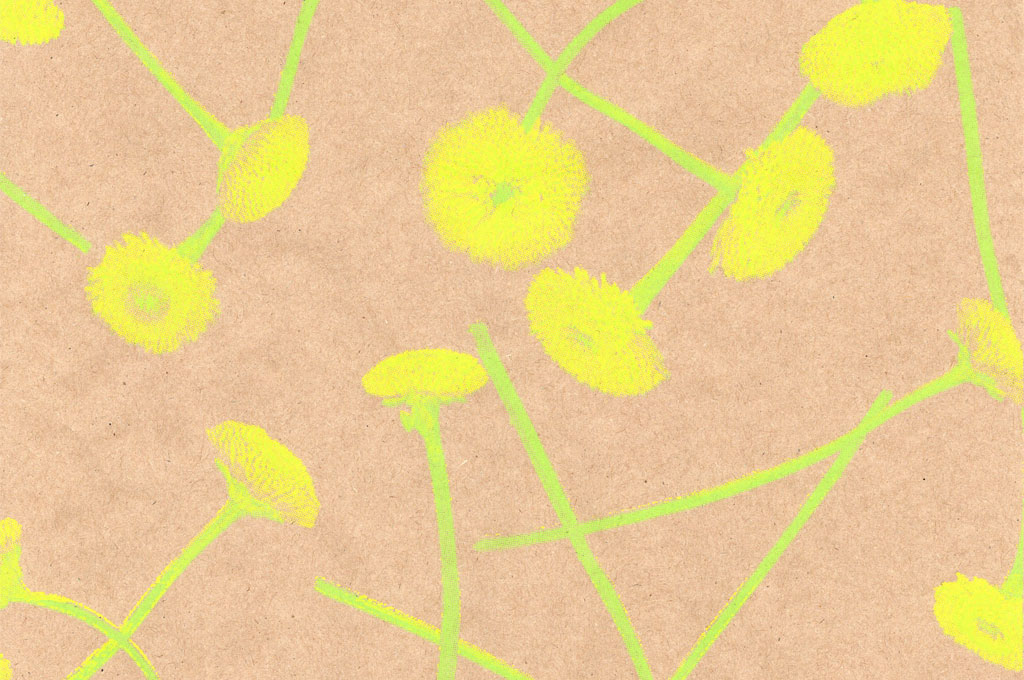 Blumenpapier Seidenpapier in 2026: Fr&uuml;hjahr