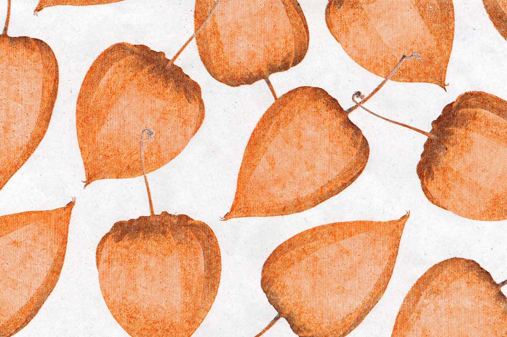 Blumenpapier Seidenpapier in 2025: Herbst und Weihnachten