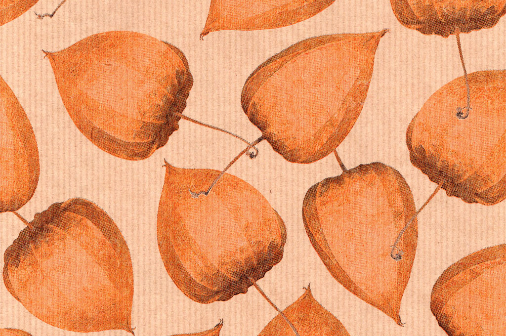 Blumenpapier Seidenpapier in 2025: Herbst und Weihnachten