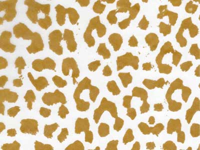 Seidenpapier Blumenpapier Einschlagpapier für Blumen: Leo
