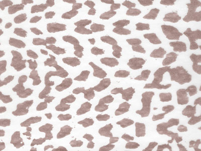 Seidenpapier Blumenpapier Einschlagpapier für Blumen: Leo
