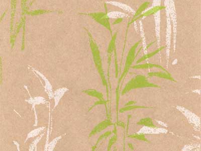 Seidenpapier Blumenpapier Einschlagpapier für Blumen: Gräser