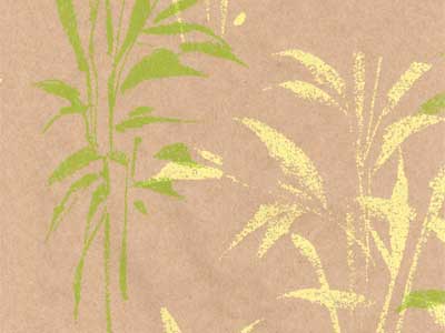 Seidenpapier Blumenpapier Einschlagpapier für Blumen: Gräser