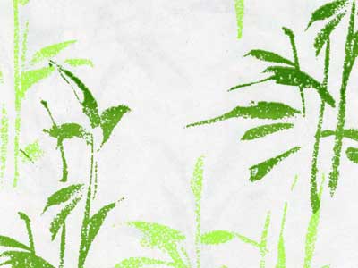 Seidenpapier Blumenpapier Einschlagpapier für Blumen: Gräser