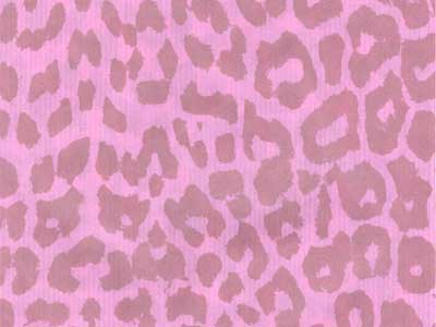 Seidenpapier Blumenpapier Einschlagpapier für Blumen: Leo