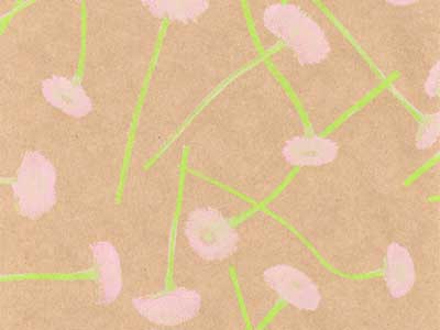 Seidenpapier Blumenpapier Einschlagpapier f&uuml;r Blumen: Bellis