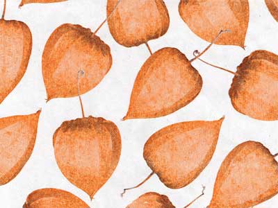Seidenpapier Blumenpapier Einschlagpapier für Blumen: Physalis