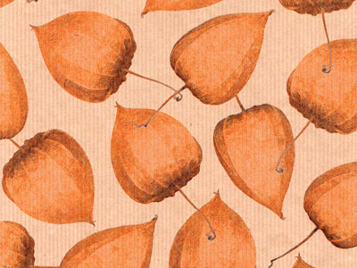 Seidenpapier Blumenpapier Einschlagpapier für Blumen: Physalis