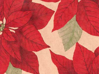 Seidenpapier Blumenpapier Einschlagpapier für Blumen: Poinsettia