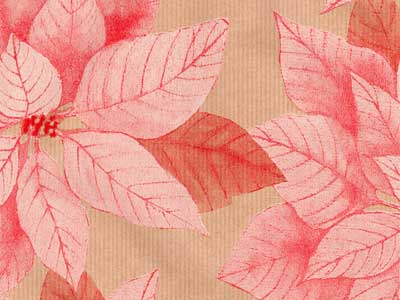 Seidenpapier Blumenpapier Einschlagpapier für Blumen: Poinsettia