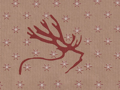 Seidenpapier Blumenpapier Einschlagpapier f&uuml;r Blumen: Nordic Reindeer