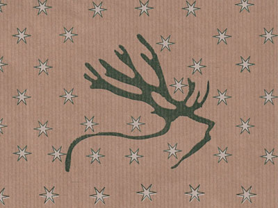 Seidenpapier Blumenpapier Einschlagpapier f&uuml;r Blumen: Nordic Reindeer
