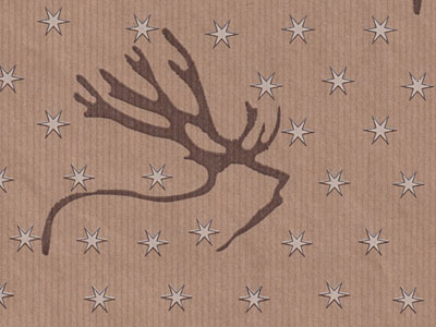 Seidenpapier Blumenpapier Einschlagpapier f&uuml;r Blumen: Nordic Reindeer