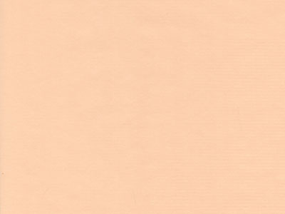 Seidenpapier Blumenpapier Einschlagpapier f&uuml;r Blumen: latte macchiato