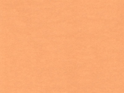 Seidenpapier Blumenpapier Einschlagpapier f&uuml;r Blumen: arancio
