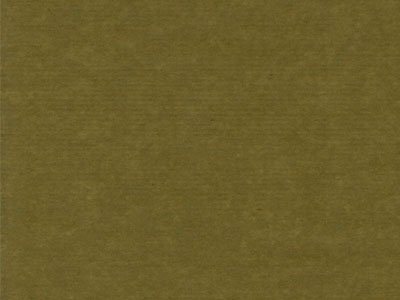 Seidenpapier Blumenpapier Einschlagpapier f&uuml;r Blumen: muschio