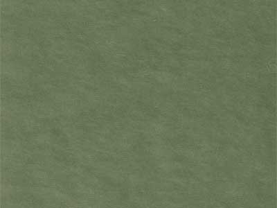 Seidenpapier Blumenpapier Einschlagpapier für Blumen: Fresh Colors